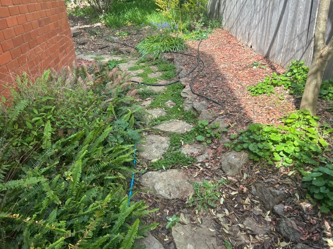 Side path with leaf litter before