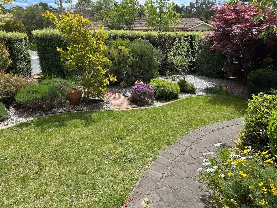Front garden with mown lawn after