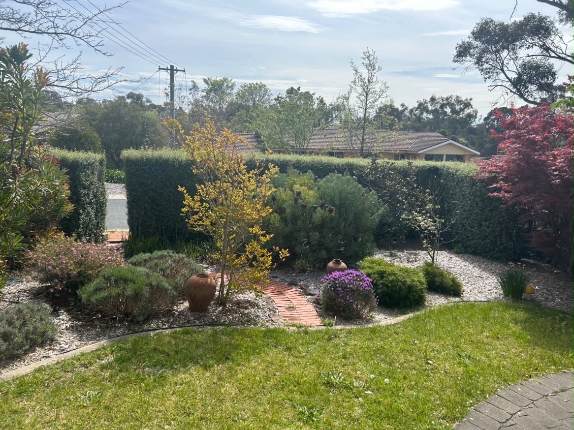 Front garden before mowing