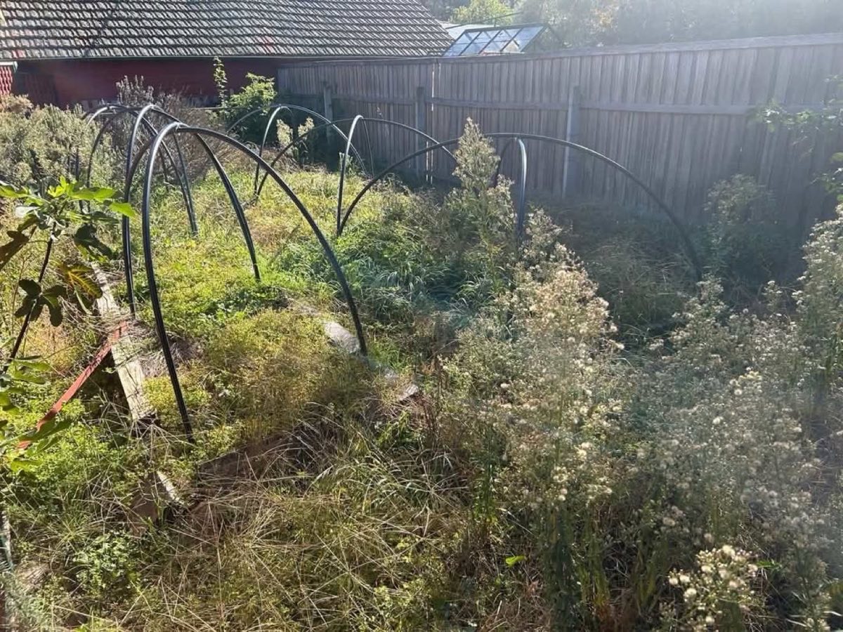 Garden project photo