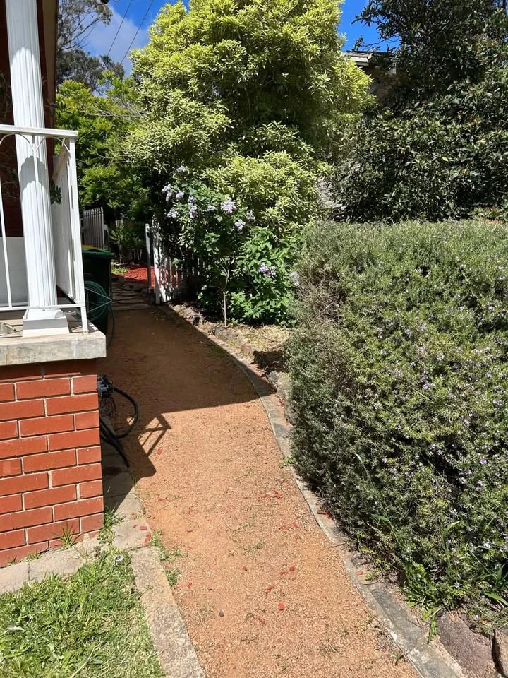 Clean gravel path beside a shrub after