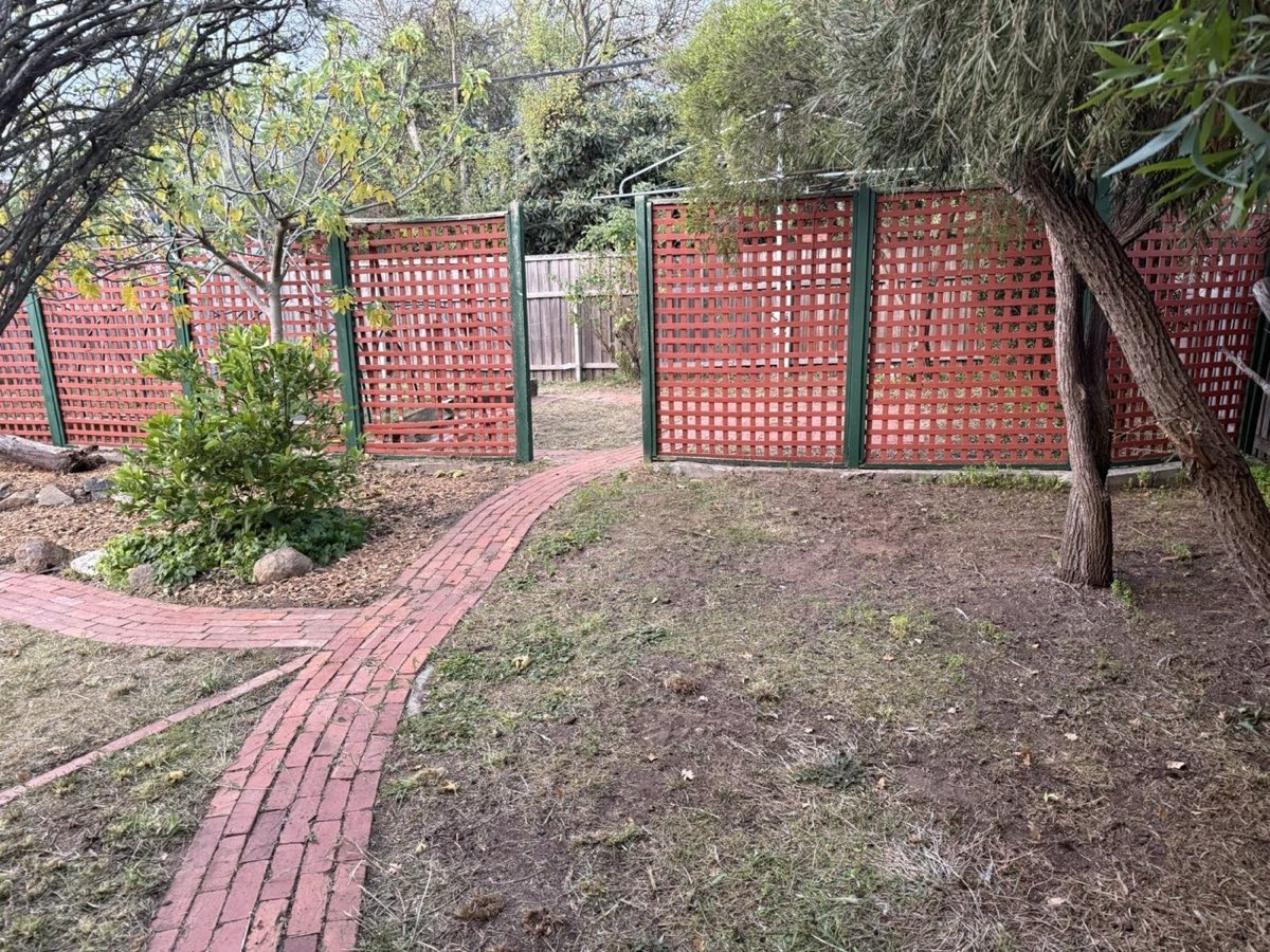 Mown lawn and clear brick path through a mulched garden