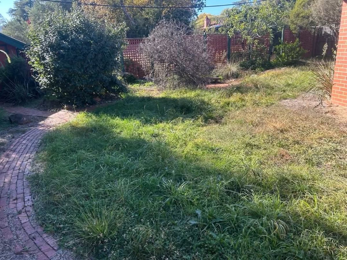 Long grass beside a brick path before mowing
