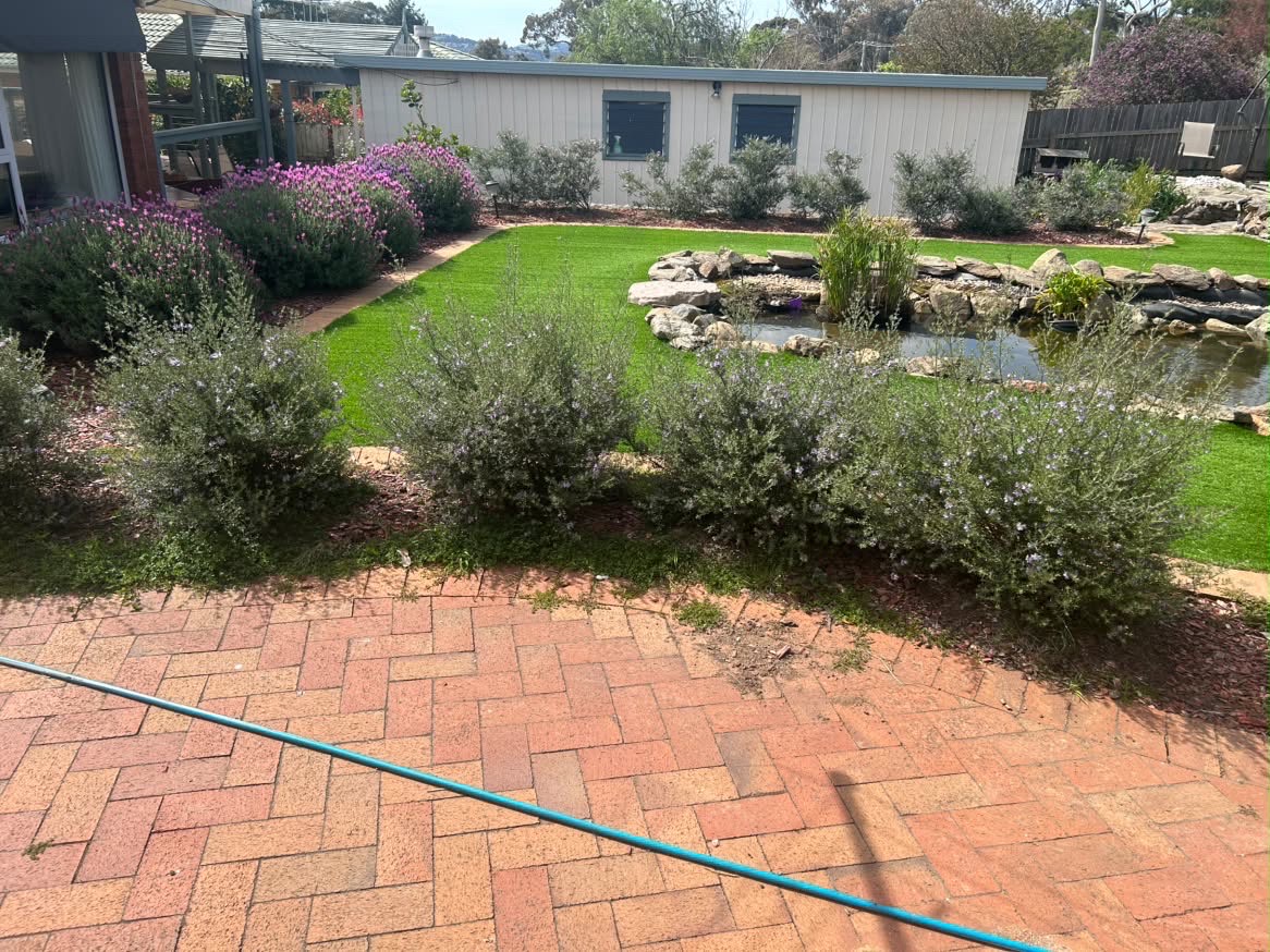 Backyard garden beds before mulching