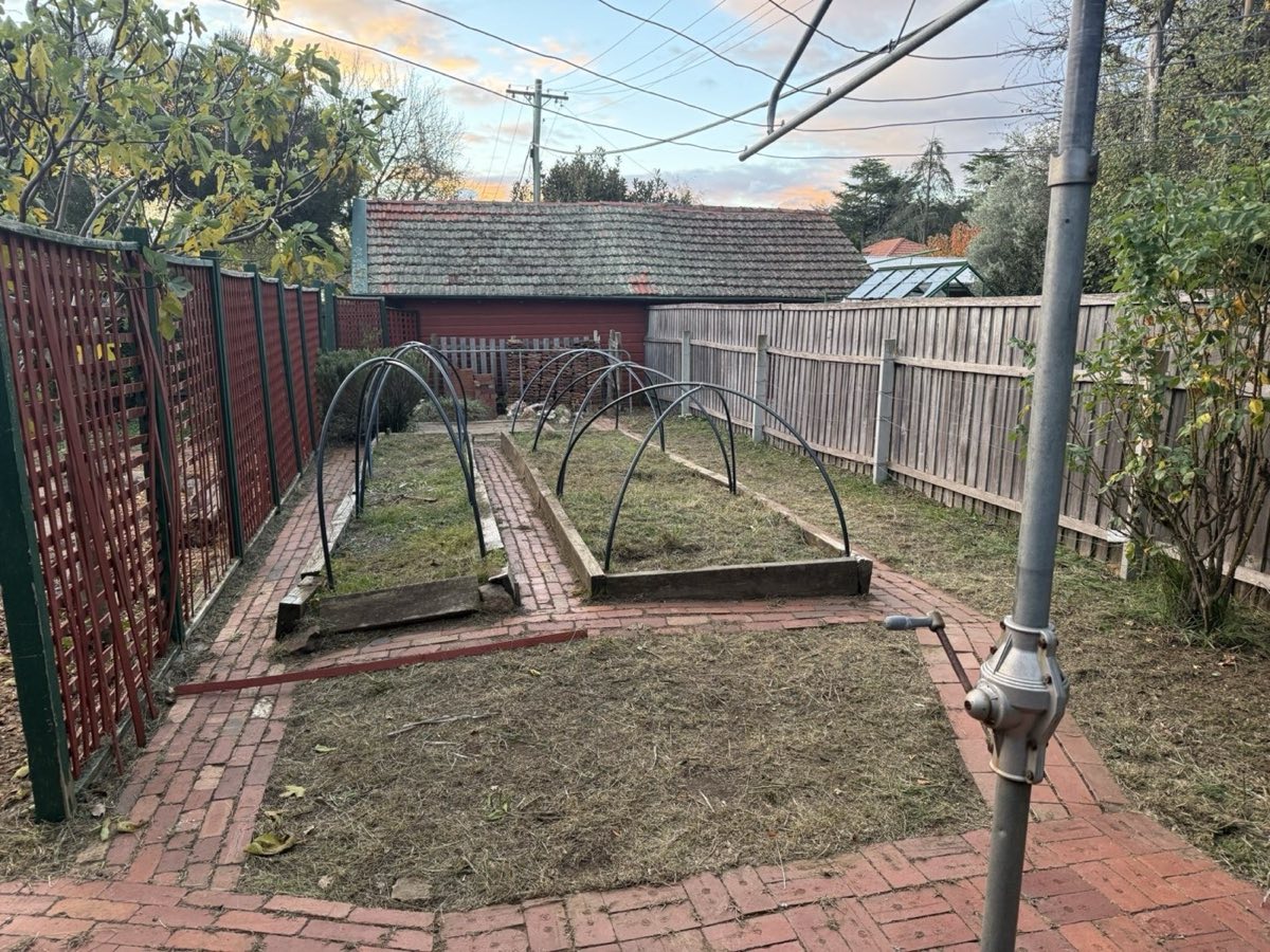 Cleared garden beds with hoop frames and tidy brick paths